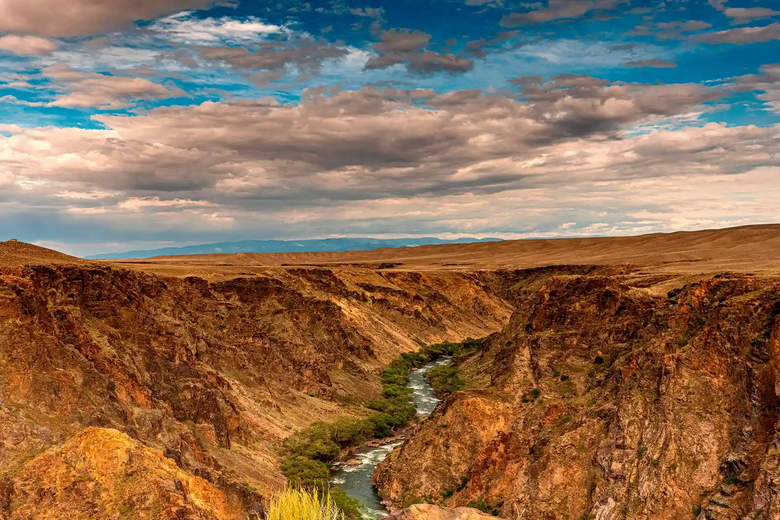 Aerial-style top view of the Charyn River winding through the rocky canyon